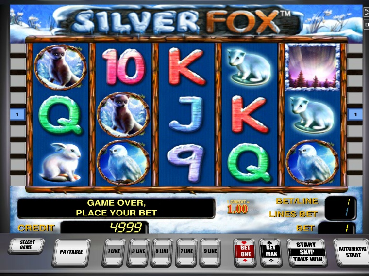 Азартный слот «Silver Fox» на официальном сайте Вулкан Платинум
